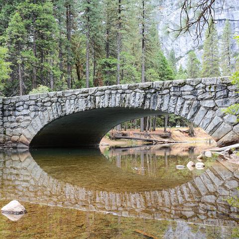 Reflection Bridge