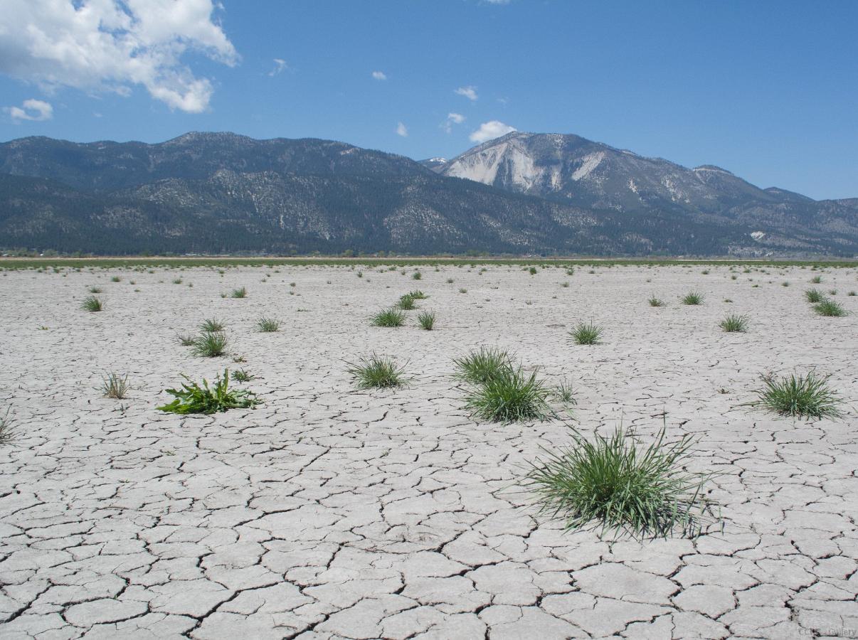 Washoe Lake 2015