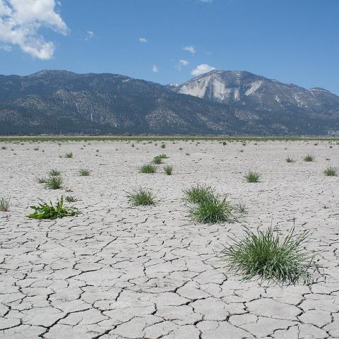 Washoe Lake