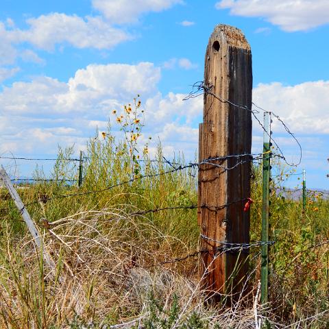 Fence!