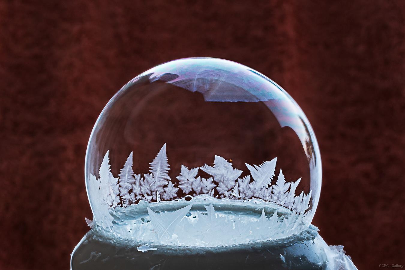 Freezing Bubbles