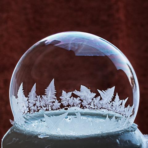 Freezing Bubbles