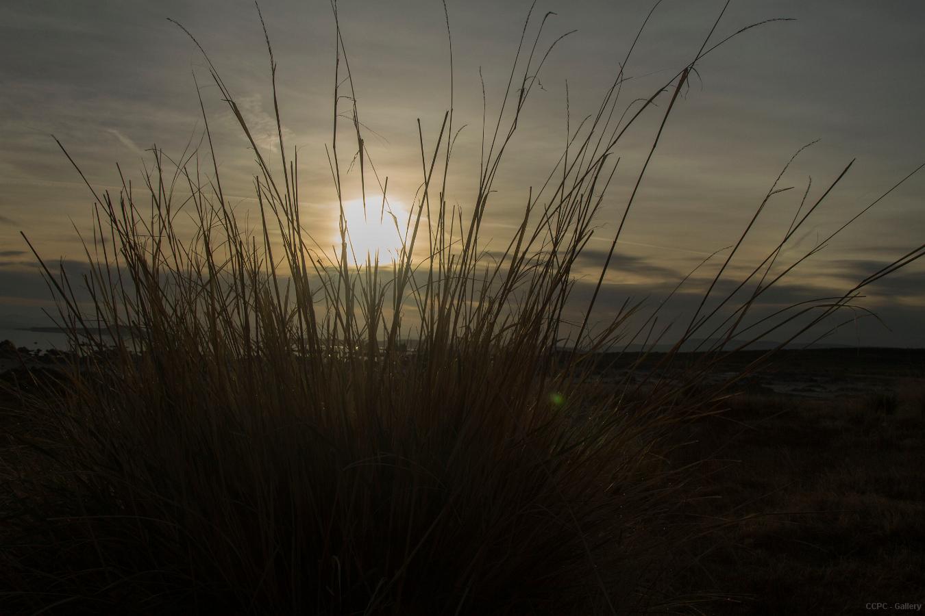 sunrise mono lakeIMG 599475