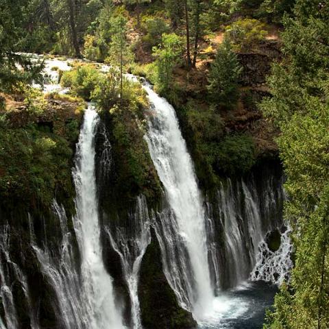 Burney Falls