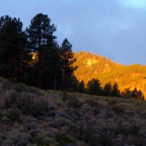 Carson Range Sunrise