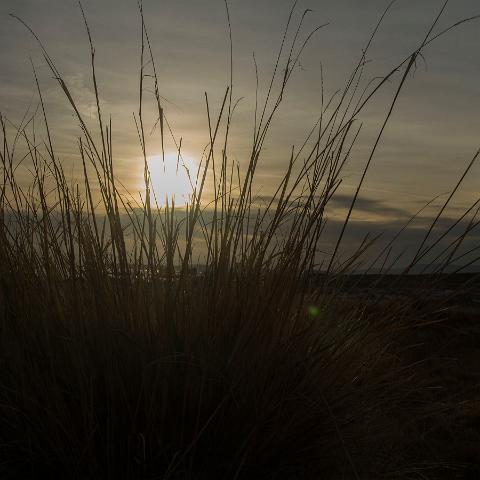 Sunrise Mono Lake