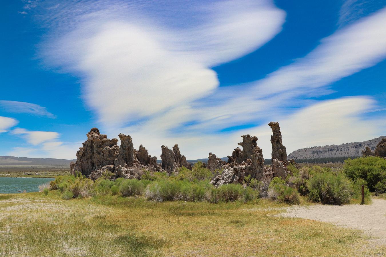 Mono Lenticulars