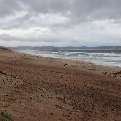 Marina State Beach