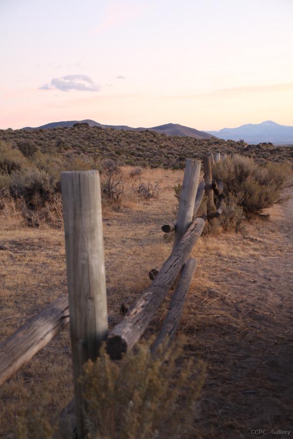 Fence line