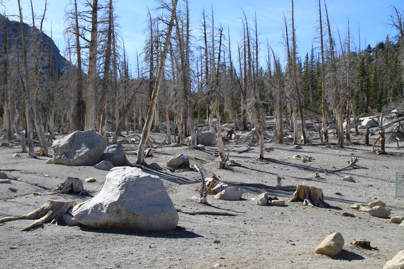 Horseshoe Lake area