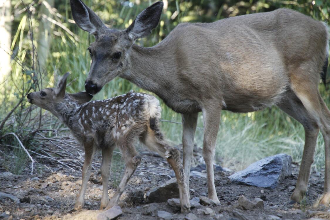 Mommy and Me