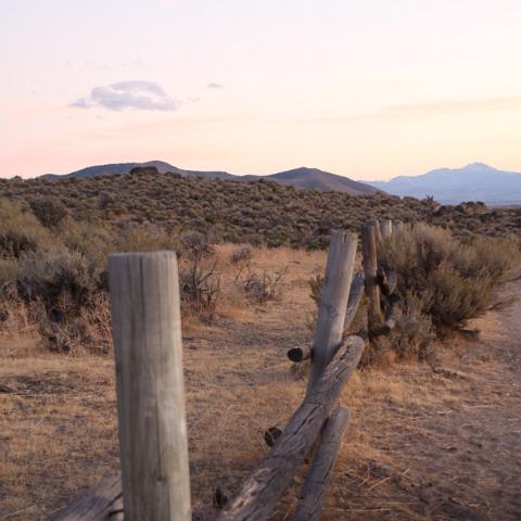 Fence line