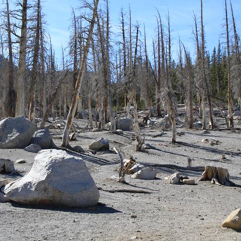 Horseshoe Lake area