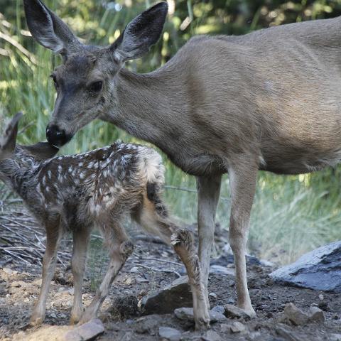 Mommy and Me