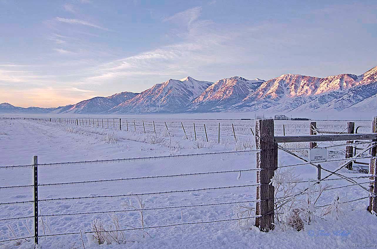 CarsonValley IMG2187a-wm-w