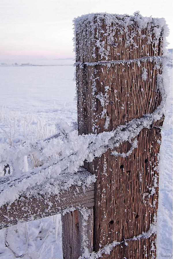 FencepostSnow IMG2184b-8x12-p