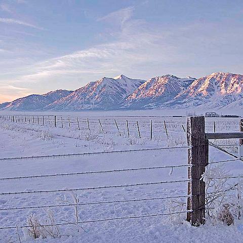 CarsonValley IMG2187a-wm-w