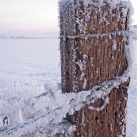 FencepostSnow IMG2184b-8x12-p